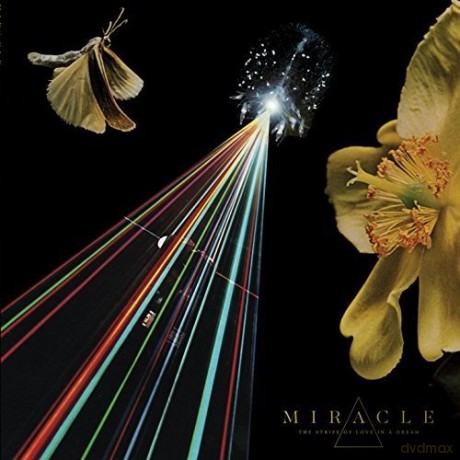 Miracle: The Strife Of Love In A Dream [Winyl]