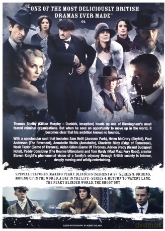 Peaky Blinders Season 1-4 [BOX] [8DVD]