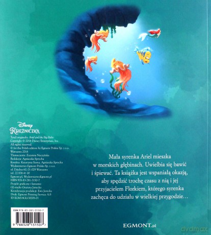 Ariel i Florek.. Ilustrowana czytanka [KSIĄŻKA]