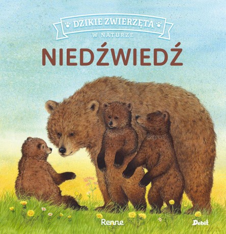 Niedźwiedź. Dzikie zwierzęta w naturze - Renne Renne [KSIĄŻKA]