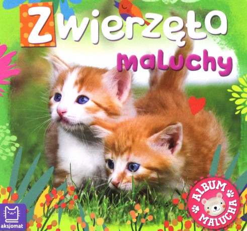 Zwierzęta maluchy. Album malucha [KSIĄŻKA]