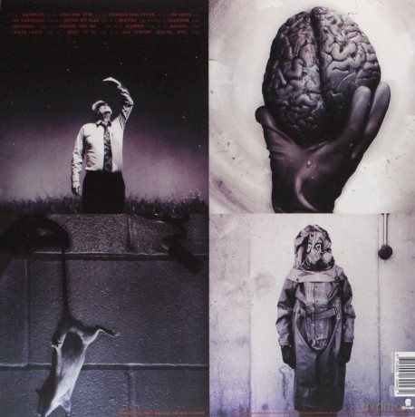 Bad Religion: Stranger Than Fiction (Remastered) [Winyl]