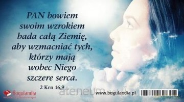 Magnes 18 na lodówkę - PAN bowiem swoim wzrokiem