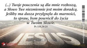 Magnes 19 na lodówkę - Twoje pouczenie jest
