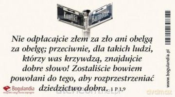 Magnes 23 na lodówkę - Nie odpłacajcie złem