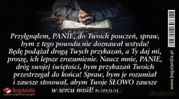 Magnes 25 na lodówkę - Przylgnąłem, Panie