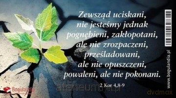 Magnes 27 na lodówkę - Zewsząd uciskani nie