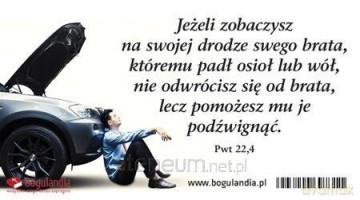 Magnes 28 na lodówkę - Jeśli zobaczysz na swojej