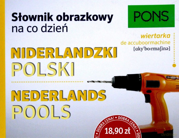 Słownik obrazkowy na co dzień. Niderlandzki [KSIĄŻKA]