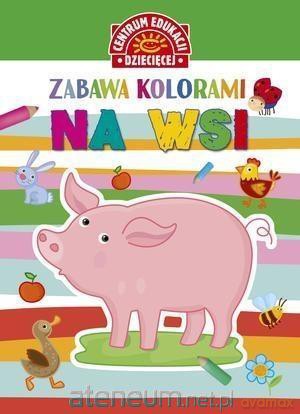 Zabawa kolorami. Na wsi [KSIĄŻKA]