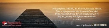 Zakładka 16 do książki - Przylgnąłem, Panie