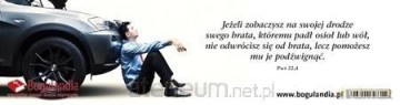 Zakładka 28 do książki - Jeśli zobaczysz