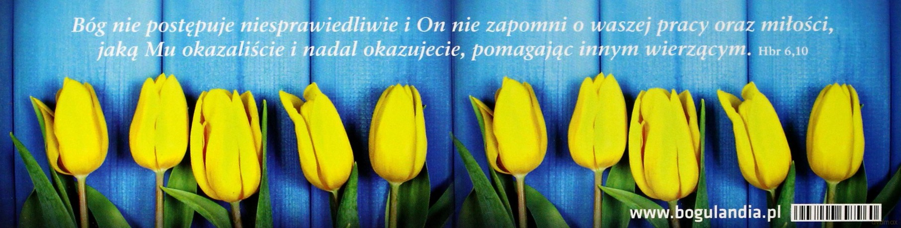 Zakładka 29 do książki - Bóg nie postępuje