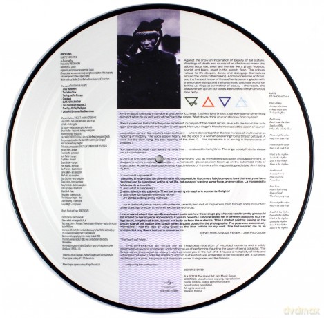 Grace Jones: Slave To The Rhythm [Winyl]