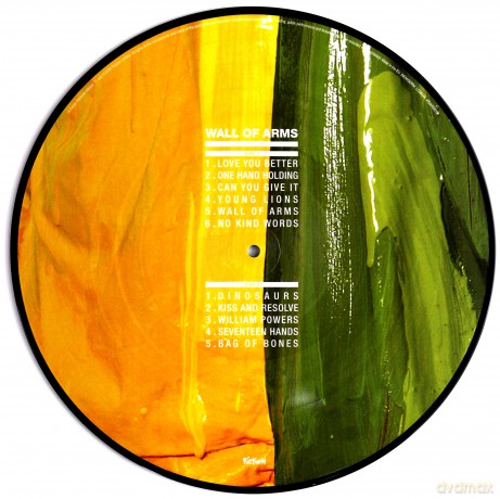 MacCabees: Wall Of Arms (Limited) (RSD) [Winyl]