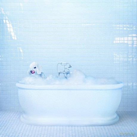 Frankie Cosmos: Vessel (digipack) [CD]