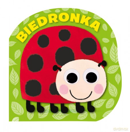 Biedronka. Mrugnij oczkiem i posłuchaj [KSIĄŻKA]