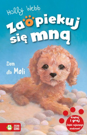 Dom dla Moli. Zaopiekuj się mną - Holly Webb [KSIĄŻKA]