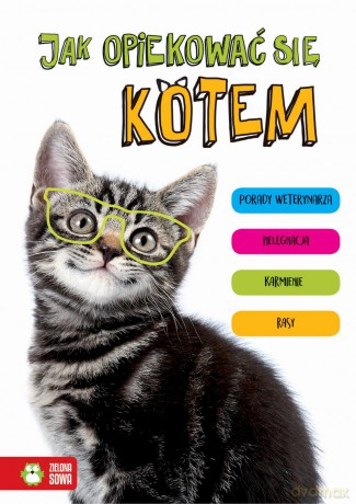 Jak opiekować się kotem - Anna Kłopotek [KSIĄŻKA]