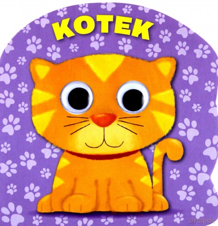 Kotek. Mrugnij oczkiem i posłuchaj [KSIĄŻKA]