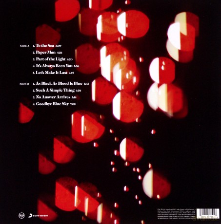 Ray LaMontagne: Part Of The Light [Winyl]