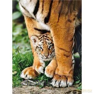 CLEMENTONI 500 el. Bengal Tiger Cub [PUZZLE]