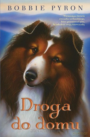 Droga do domu - Bobby Pyron [KSIĄŻKA]