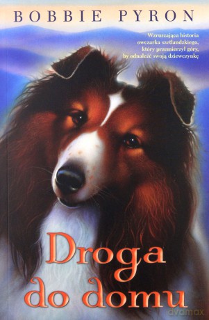 Droga do domu - Bobby Pyron [KSIĄŻKA]