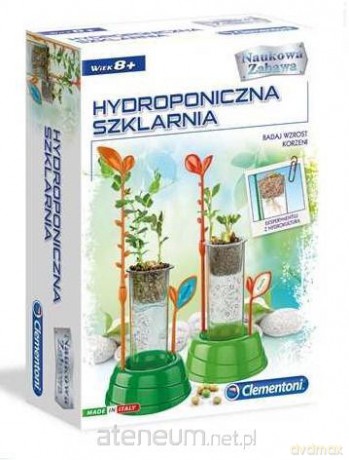 Hydroponiczna Szklarnia