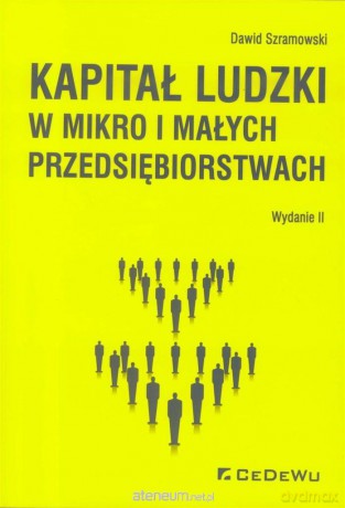 Kapitał ludzki w mikro i małych przedsiębiorstwach - Dawid Szramowki [KSIĄŻKA]