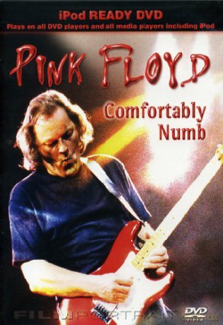 Pink Floyd: Comfortably Numb (Documentary) [DVD]