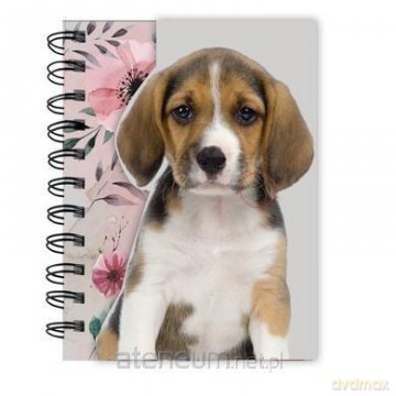 Notes Dog