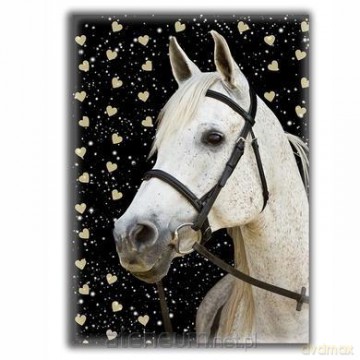 Pamiętnik Horse 2 błyszczący