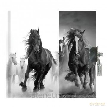 Pamiętnik z kłódką Running Horses