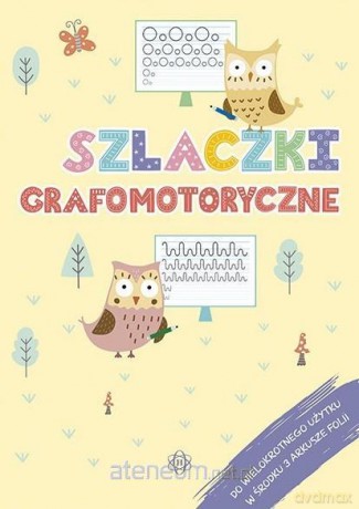 Szlaczki grafomotoryczne [KSIĄŻKA]