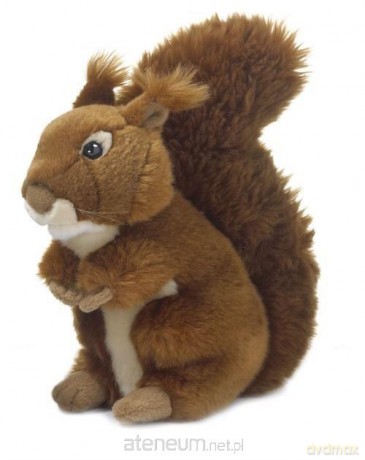 Wiewiórka ruda 23 cm