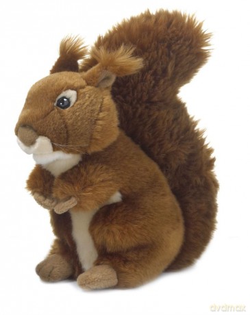 Wiewiórka ruda 23 cm
