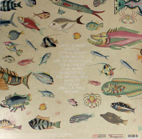 Cosmo Sheldrake: The Much Much How How And I [Winyl]