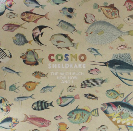 Cosmo Sheldrake: The Much Much How How And I [Winyl]
