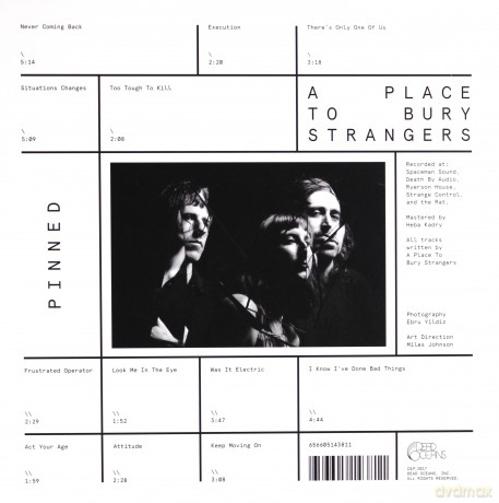 A Place To Bury Strangers: Pinned [Winyl]