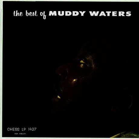 Muddy Waters: The Best Of Muddy Waters [Winyl]