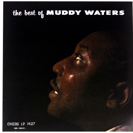 Muddy Waters: The Best Of Muddy Waters [Winyl]