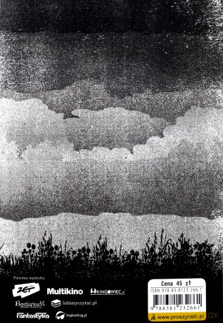 Outsider - Stephen King [KSIĄŻKA]