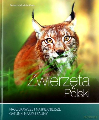 Zwierzęta Polski - Renata Kosińska [KSIĄŻKA]
