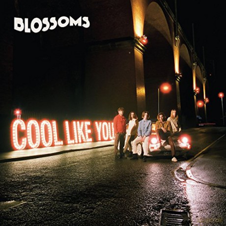 Blossoms: Cool Like You [CD]