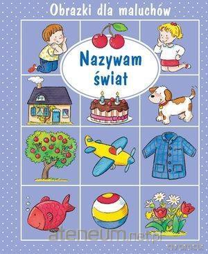 Obrazki dla maluchów - Nazywam świat - Emilie Beaumont, Sylvie Michelet [KSIĄŻKA]