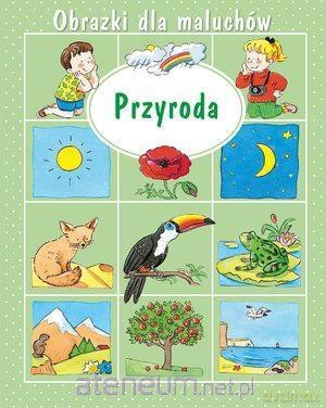 Obrazki dla maluchów - Przyroda - Emilie Beaumont, Sylvie Michelet [KSIĄŻKA]
