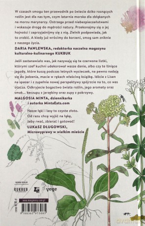 Zielnik - jedzenie i domowe kuracje z łona natury - Lisen Sundgren [KSIĄŻKA]