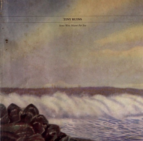 Tiny Ruins: Some Were Meant For The Sea (RSD) [Winyl]
