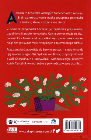 Mejle na miotle - Agnieszka Tyszka [KSIAŻKA]